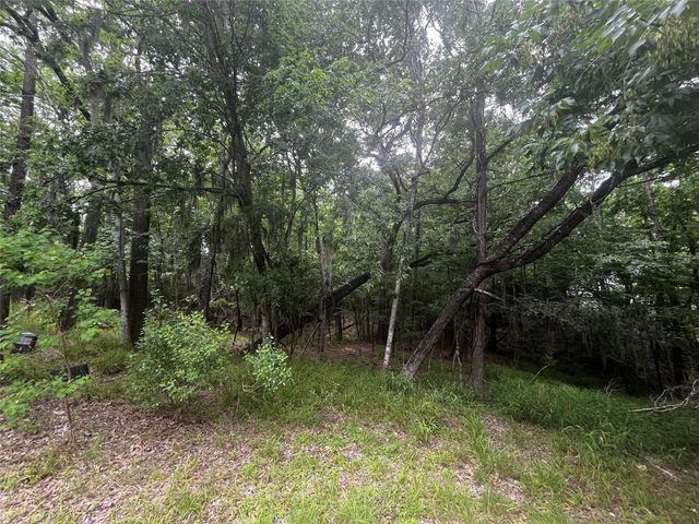 18 Timberon Lane, Coldspring, TX 77331