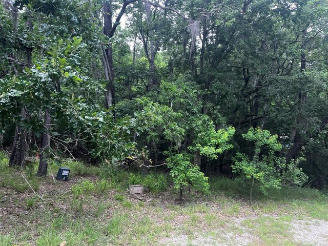 18 Timberon Lane, Coldspring, TX 77331