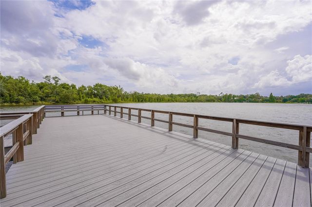 10685 LAKE MONTAUK DRIVE, Riverview, FL 33578
