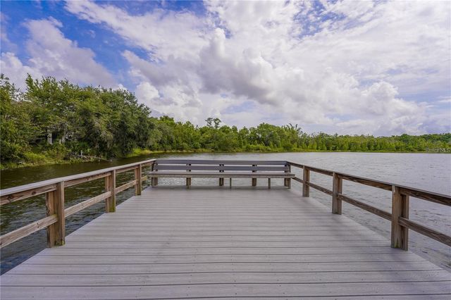 10685 LAKE MONTAUK DRIVE, Riverview, FL 33578
