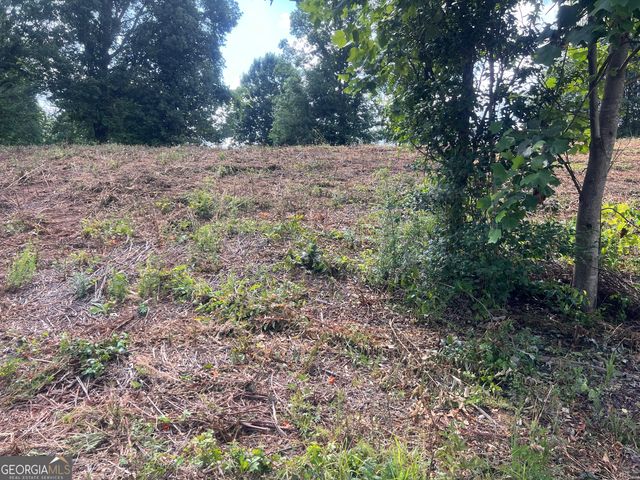 373 Stonington Drive, Mount Airy, GA 30563
