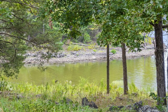 2020 Persimmon Hill Lane, Lampe, MO 65681