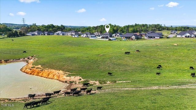 433 Boulder Court, Johnson City, TN 37615