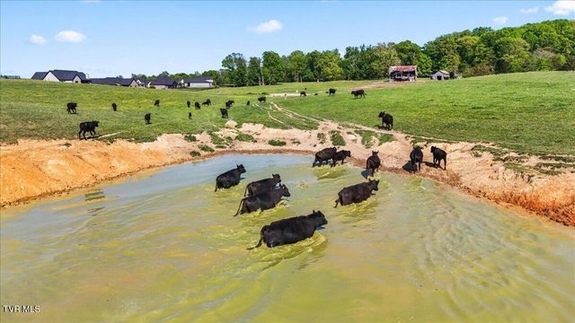 433 Boulder Court, Johnson City, TN 37615