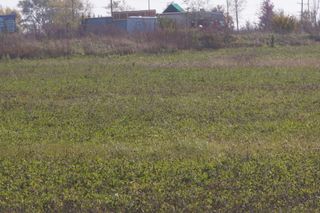 Lot2 S Arabian Avenue, Manhattan, IL 60442