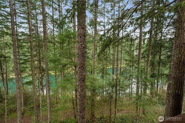 17631 Clear Lake Boulevard SE, Yelm, WA 98597
