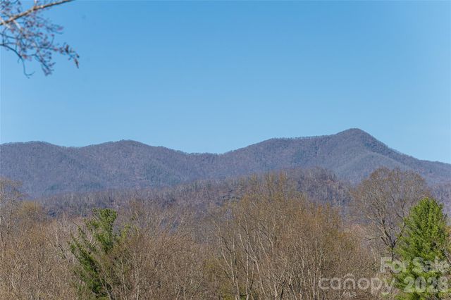 162 Riverbend Forest Drive, Asheville, NC 28805