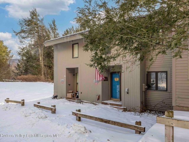 76 Loo Bridge Lane 12 B, Windham, NY 12496