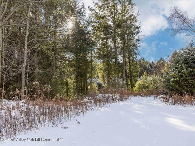 76 Loo Bridge Lane 12 B, Windham, NY 12496