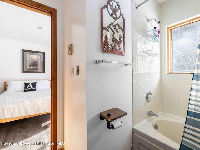 76 Loo Bridge Lane 12 B, Windham, NY 12496