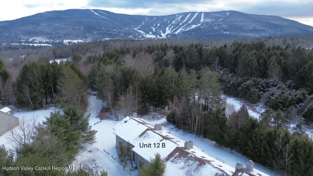 76 Loo Bridge Lane 12 B, Windham, NY 12496