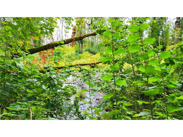 82147 Lost Valley Ln, Dexter, OR 97431