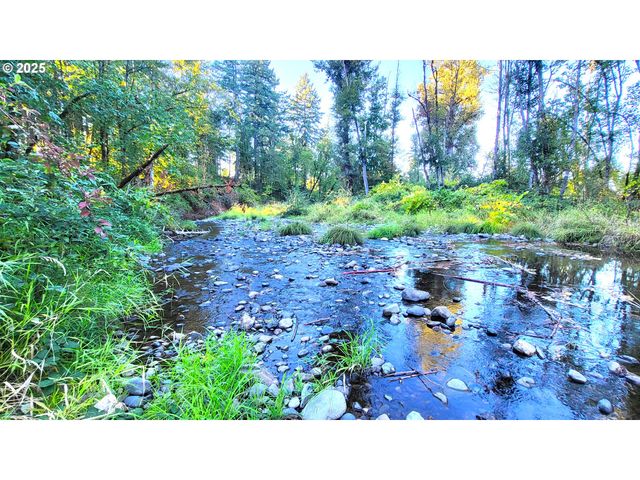 82147 Lost Valley Ln, Dexter, OR 97431