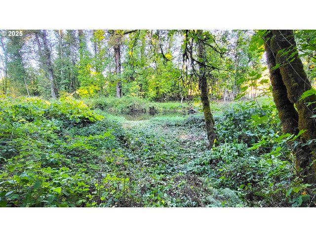 82147 Lost Valley Ln, Dexter, OR 97431