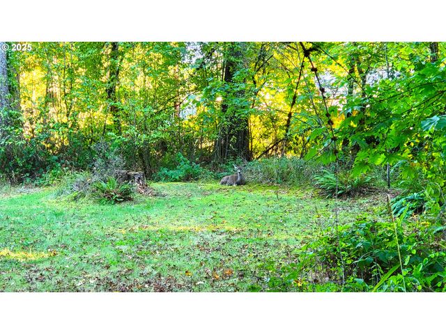 82147 Lost Valley Ln, Dexter, OR 97431