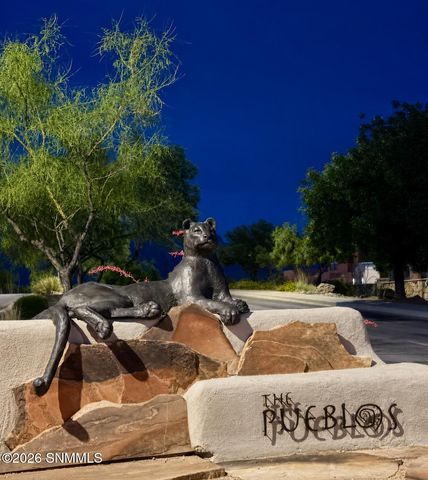 5137 San Carlos Court, Las Cruces, NM 88011