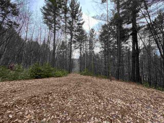 1 Berrie Lane, Townshend, VT 05353