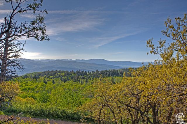 1986 S Pine Meadow Dr # DMS-2, Coalville, UT 84017