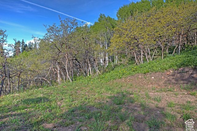 1986 S Pine Meadow Dr # DMS-2, Coalville, UT 84017