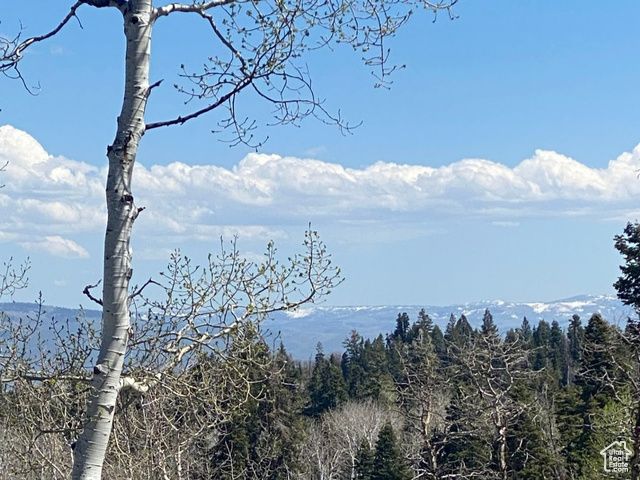 1986 S Pine Meadow Dr # DMS-2, Coalville, UT 84017