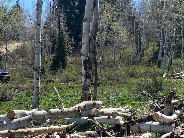 1986 S Pine Meadow Dr # DMS-2, Coalville, UT 84017