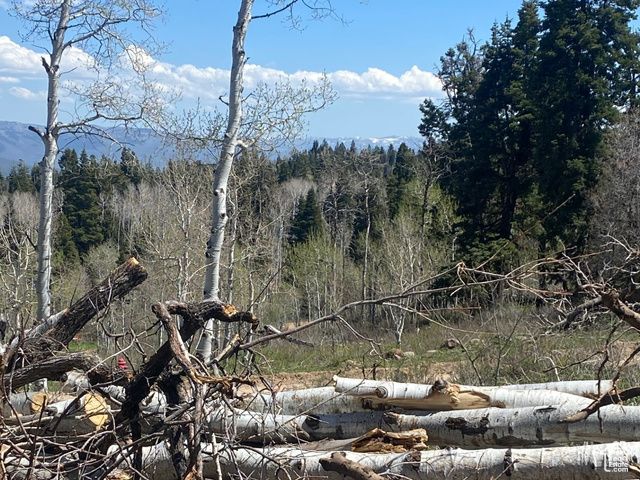 1986 S Pine Meadow Dr # DMS-2, Coalville, UT 84017