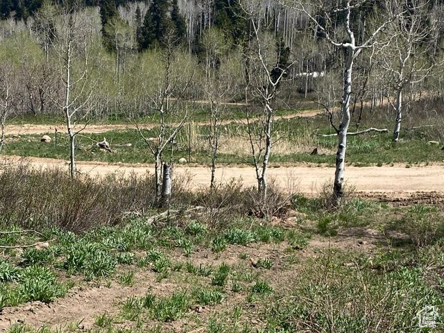 1986 S Pine Meadow Dr # DMS-2, Coalville, UT 84017