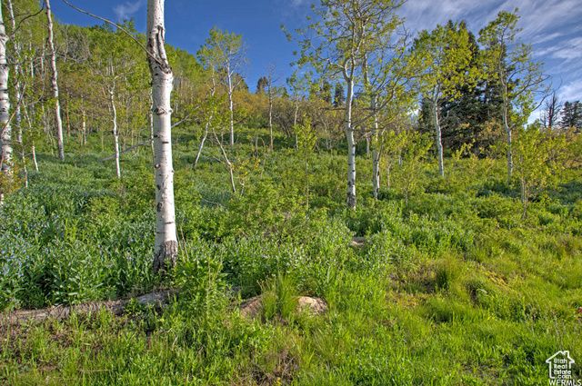 1986 S Pine Meadow Dr # DMS-2, Coalville, UT 84017