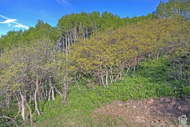 1986 S Pine Meadow Dr # DMS-2, Coalville, UT 84017