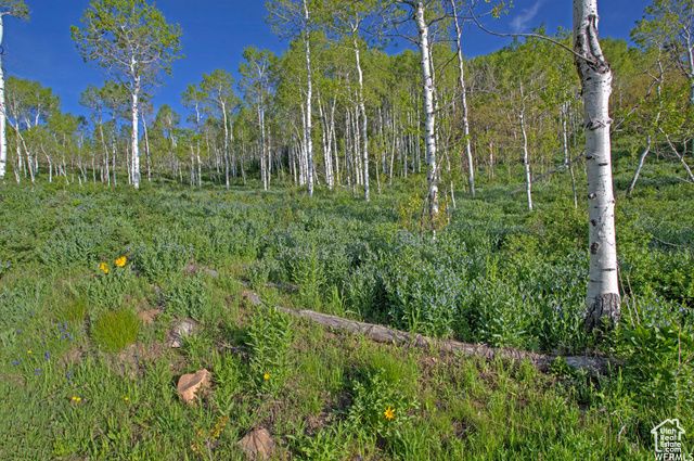 1986 S Pine Meadow Dr # DMS-2, Coalville, UT 84017