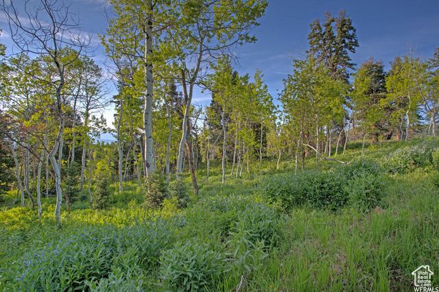 1986 S Pine Meadow Dr # DMS-2, Coalville, UT 84017