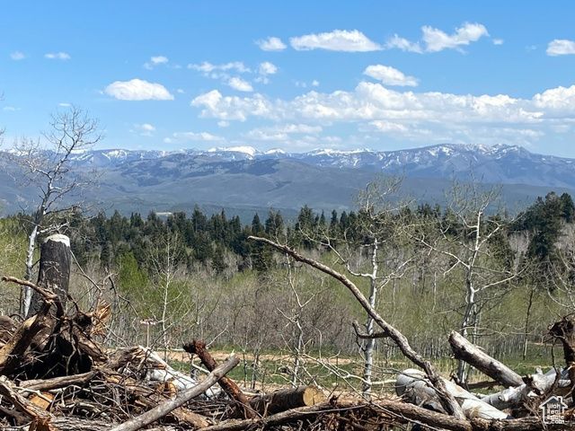 1986 S Pine Meadow Dr # DMS-2, Coalville, UT 84017