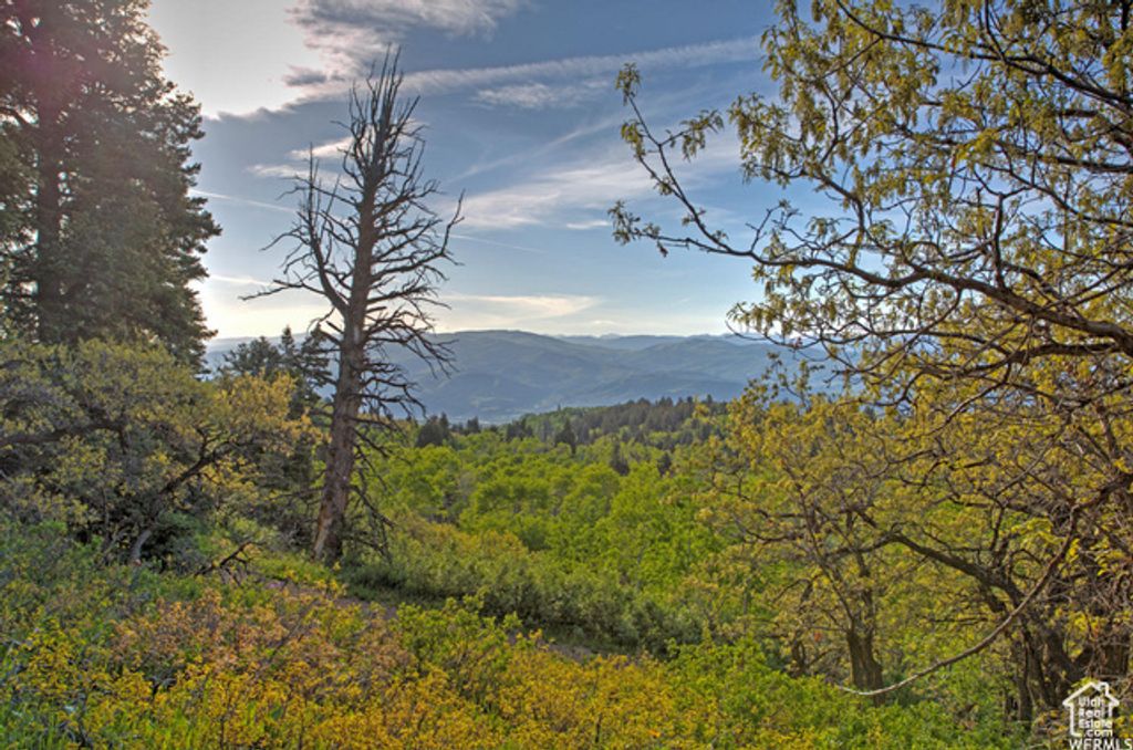 1986 S Pine Meadow Dr # DMS-2, Coalville, UT 84017