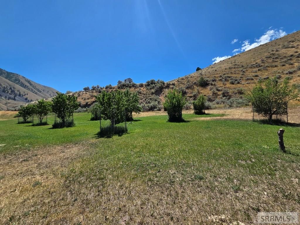 Image 53 of property listing at 101 Lake Creek Road, Salmon, ID 83467