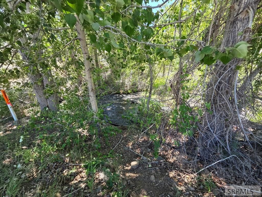 Image 63 of property listing at 101 Lake Creek Road, Salmon, ID 83467