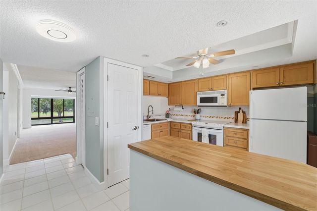 219 CARYL WAY 219, Oldsmar, FL 34677