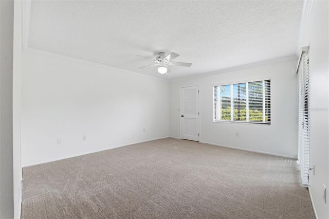 219 CARYL WAY 219, Oldsmar, FL 34677