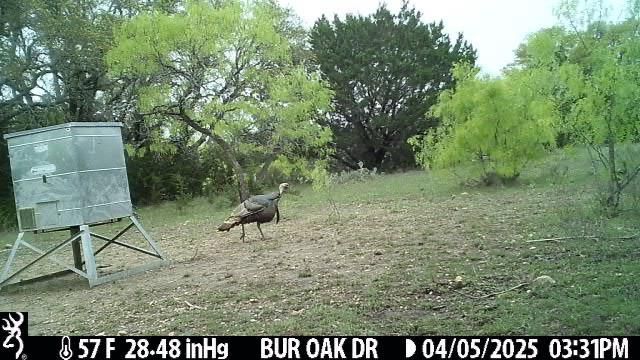 316 Bur Oak DR, Goldthwaite, TX 76844