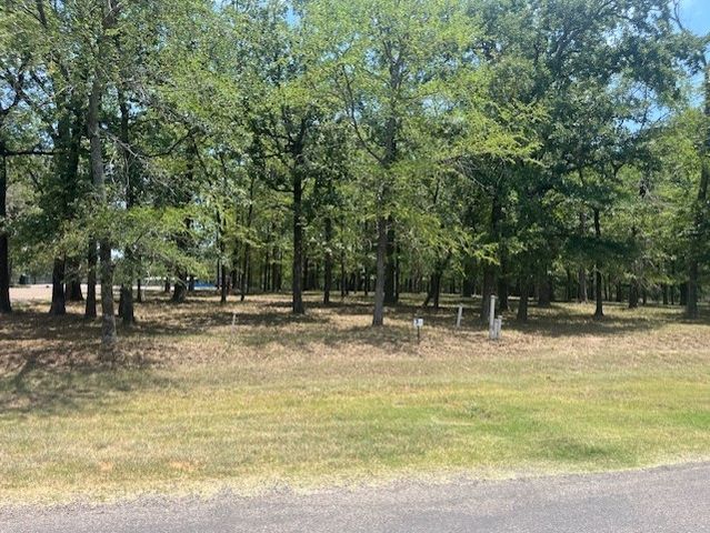 146 St Andrews Drive, Mabank, TX 75156