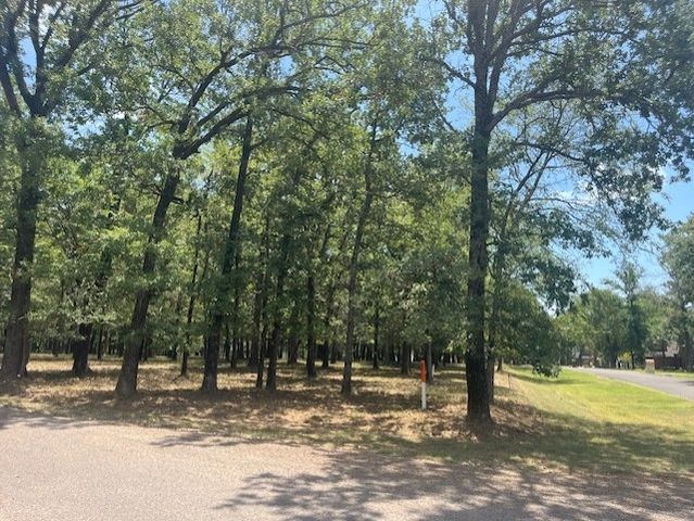 146 St Andrews Drive, Mabank, TX 75156