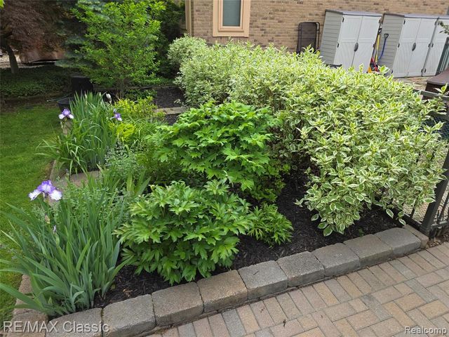 1101 Tienken Court 206, Rochester Hills, MI 48306