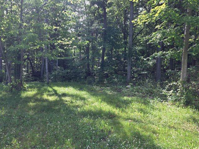 17643 Summerhill Lane, New Buffalo, MI 49117