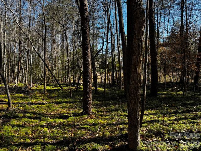 1467 Graycrest Drive, Catawba, NC 28609