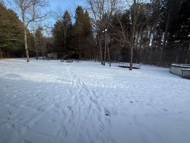 3766 Abbottsford Road, Clyde Twp, MI 48049