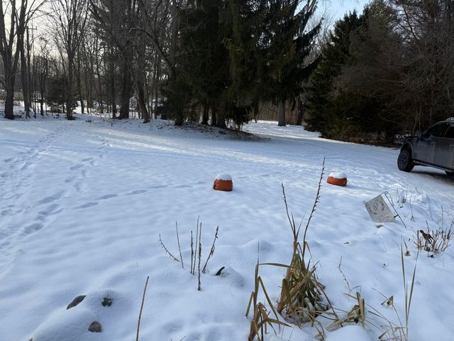 3766 Abbottsford Road, Clyde Twp, MI 48049