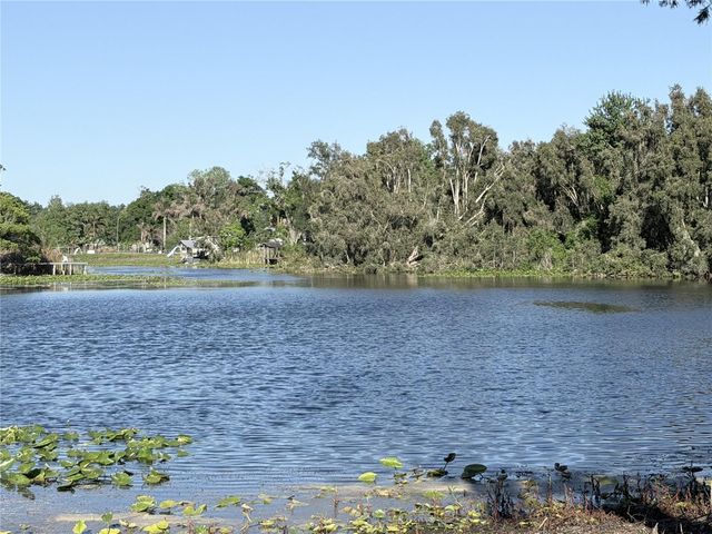 11505 N ROME AVENUE, Tampa, FL 33612