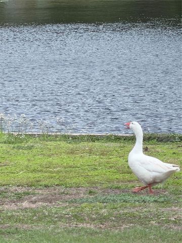 11505 N ROME AVENUE, Tampa, FL 33612