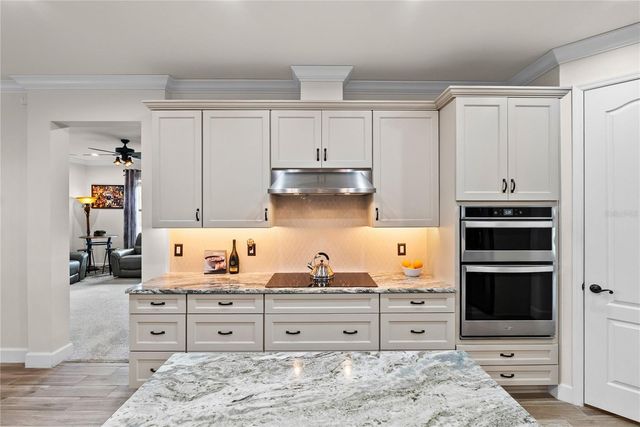 5219 LAKE VENICE DRIVE, Wimauma, FL 33598