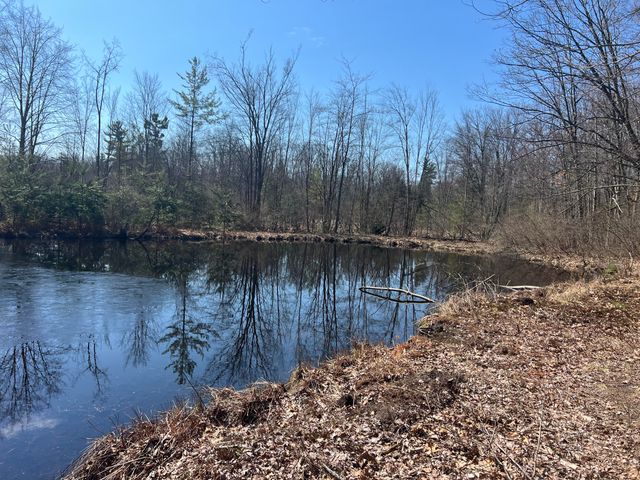 243 W Turkey Lane, Lincoln Twp-newaygo, MI 49349