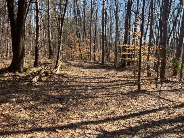 243 W Turkey Lane, Lincoln Twp-newaygo, MI 49349